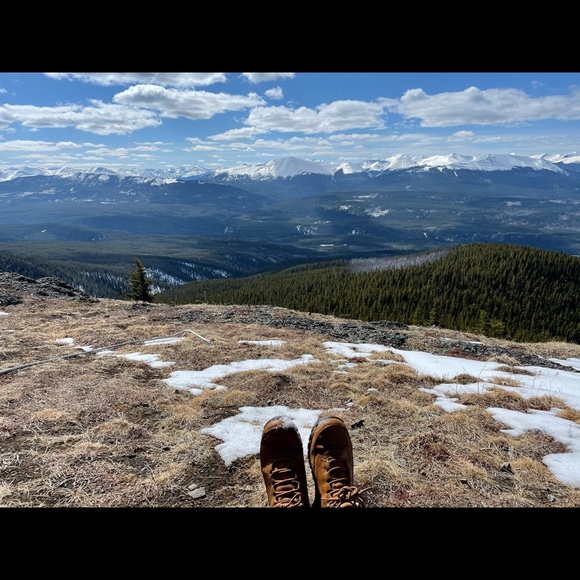 Meet your Posher, Stephanie - Picture 1 of 1